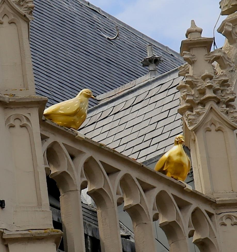 Foto Stadhuis in Alkmaar, Zien, Plek bezichtigen - #3