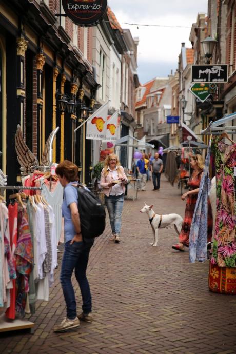 Foto d'Oude Stad in Alkmaar, Zien, Bezienswaardigheden, Buurt, plein, park