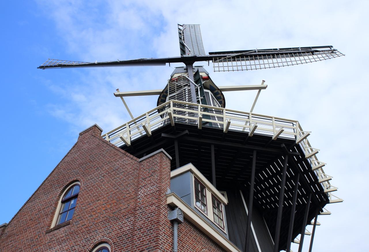 Foto Molen De Adriaan in Haarlem, Zien, Musea & galleries, Buurt, plein, park - #3