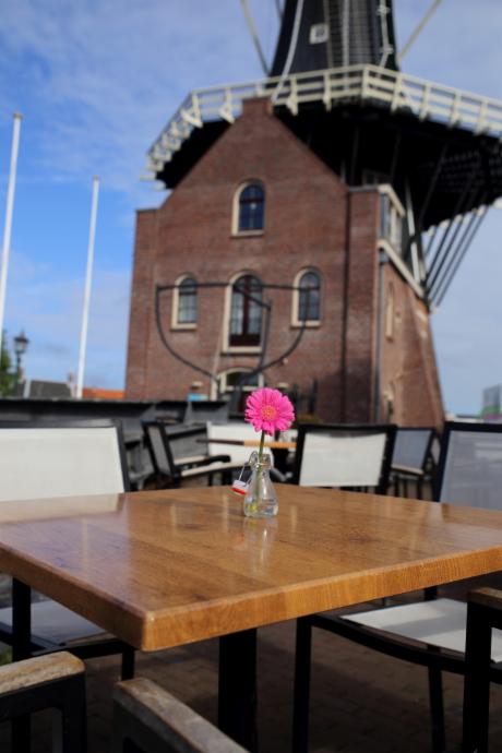 Foto Restaurant Zuidam in Haarlem, Eten & drinken, Koffie, Lunch, Borrel, Diner