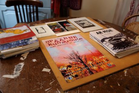 Foto Spaarne Kunstroute in Haarlem, Doen, Beleven