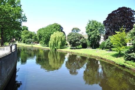 Foto Potgietersingel in Zwolle, Zien, Bezienswaardigheden, Buurt, plein, park