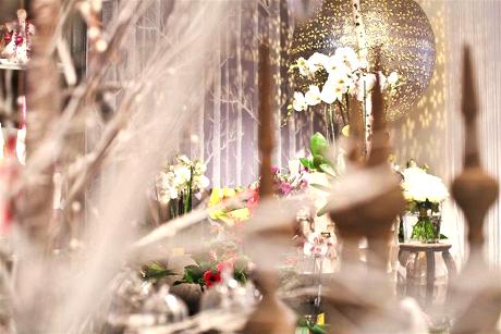Foto FP by Frissen Pieters in Maastricht, Winkelen, Geschenken kopen, Woonaccessoires wonen
