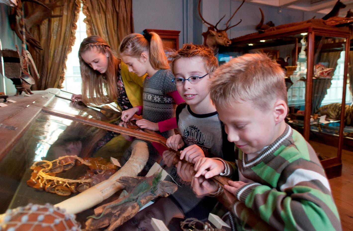 Foto Natuurmuseum Fryslân in Leeuwarden, Zien, Museum bezoeken - #1