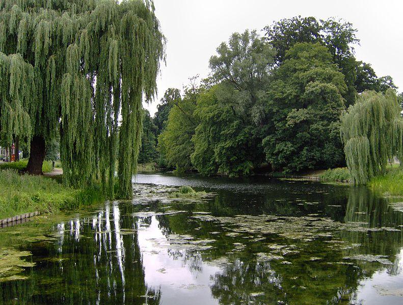 Foto Rijsterborgherpark in Deventer, Zien, Buurt, plein, park - #1