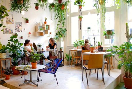 Foto Wildernis in Amsterdam, Winkelen, Kado, Wonen, Hobby, Koffie