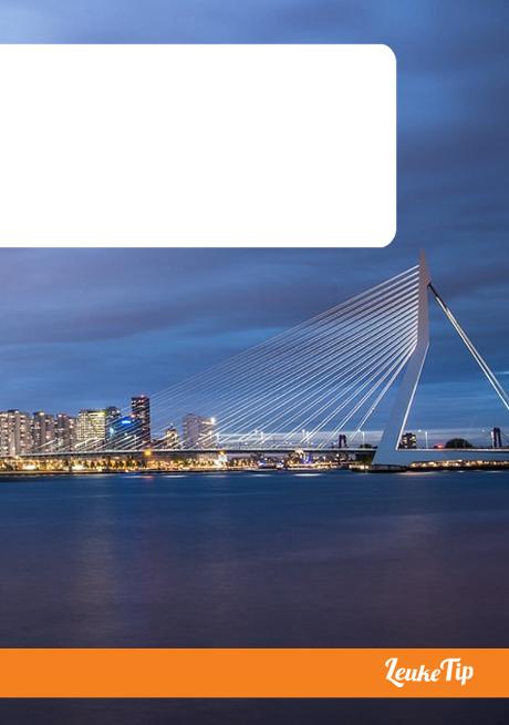 8 typisch Rotterdamse musea haven kunst design kubuswoning