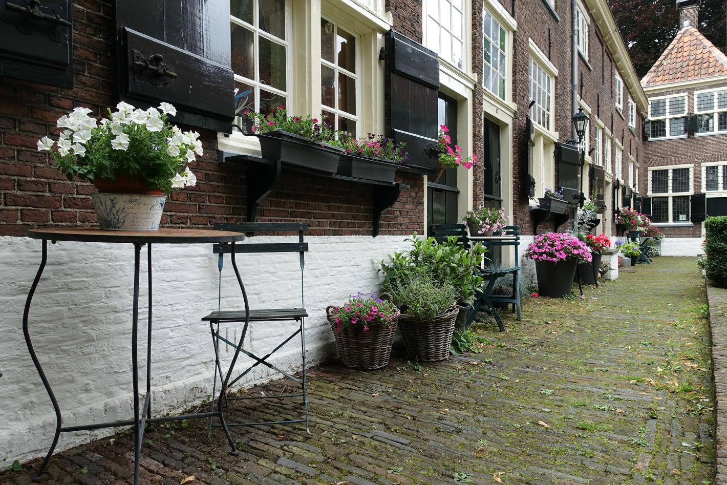 Foto Sint Annahofje in Leiden, Zien, Bezienswaardigheden - #3