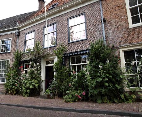 Foto Havik in Amersfoort, Zien, Rondwandelen