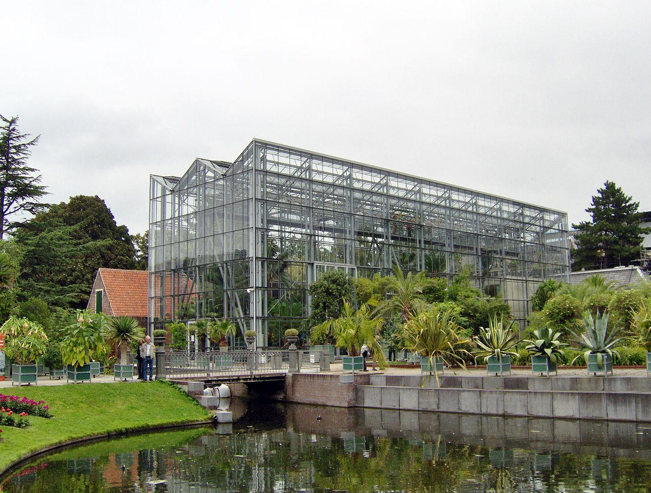 Foto Hortus Botanicus Leiden in Leiden, Zien, Bezienswaardigheden - #1