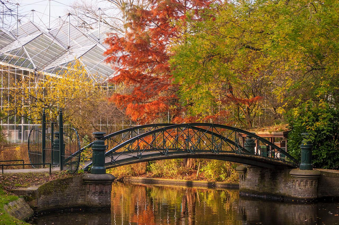 Foto Hortus Botanicus Amsterdam in Amsterdam, Zien, Bezienswaardigheden - #1