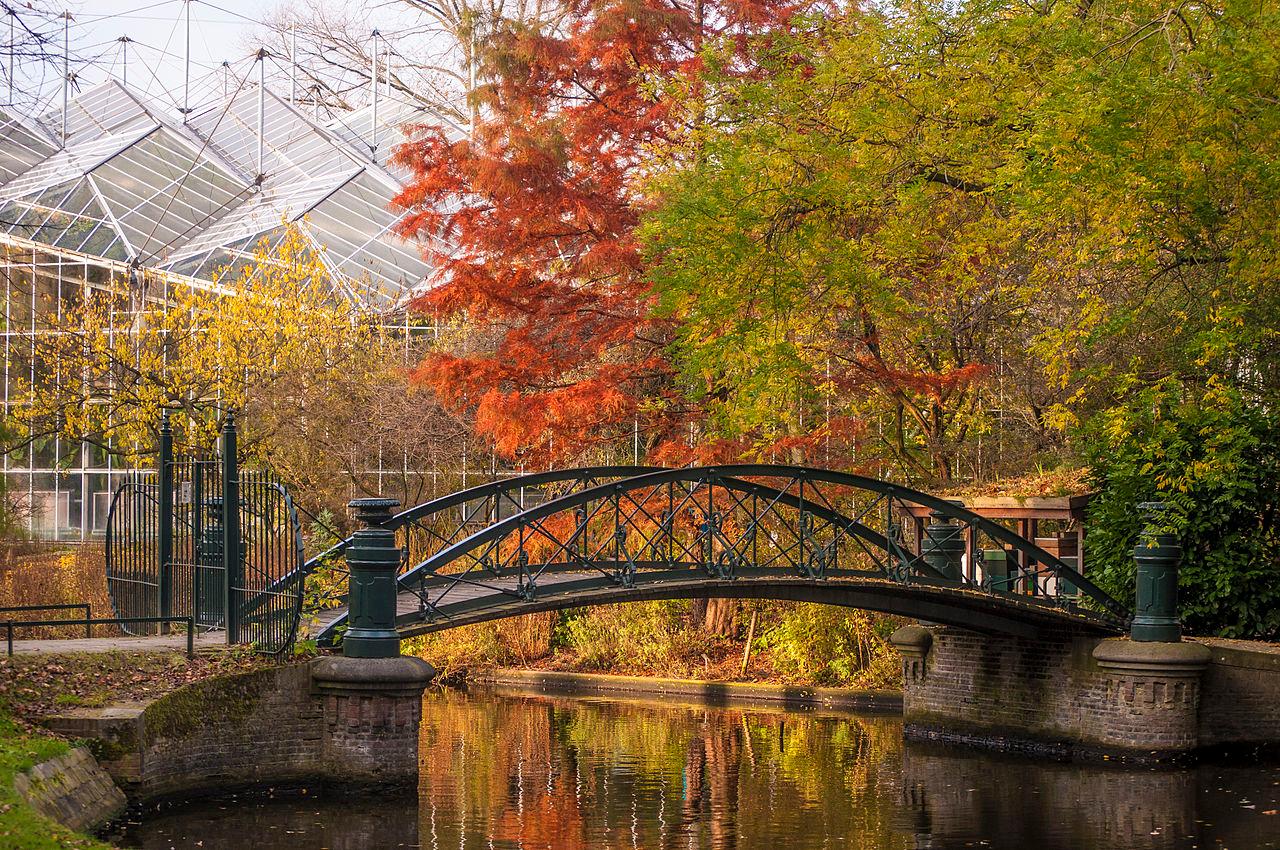 Foto Hortus Botanicus Amsterdam in Amsterdam, Zien, Bezienswaardigheden - #1