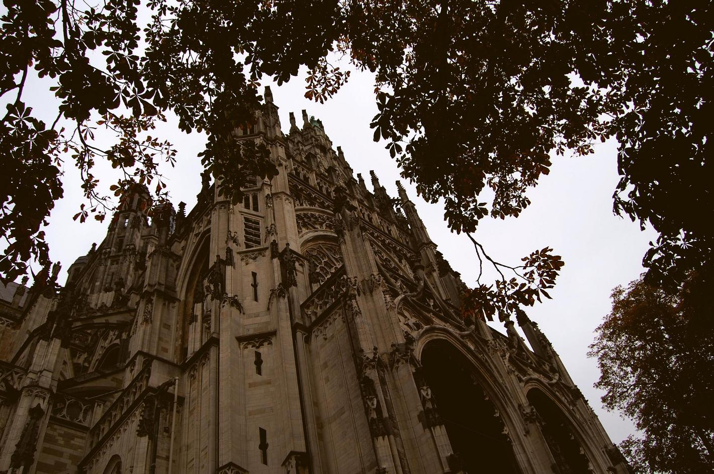 Foto Sint- Janskathedraal in Den Bosch, Zien, Bezienswaardigheden - #1