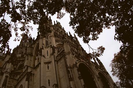 Foto Sint- Janskathedraal in Den Bosch, Zien, Bezienswaardigheden