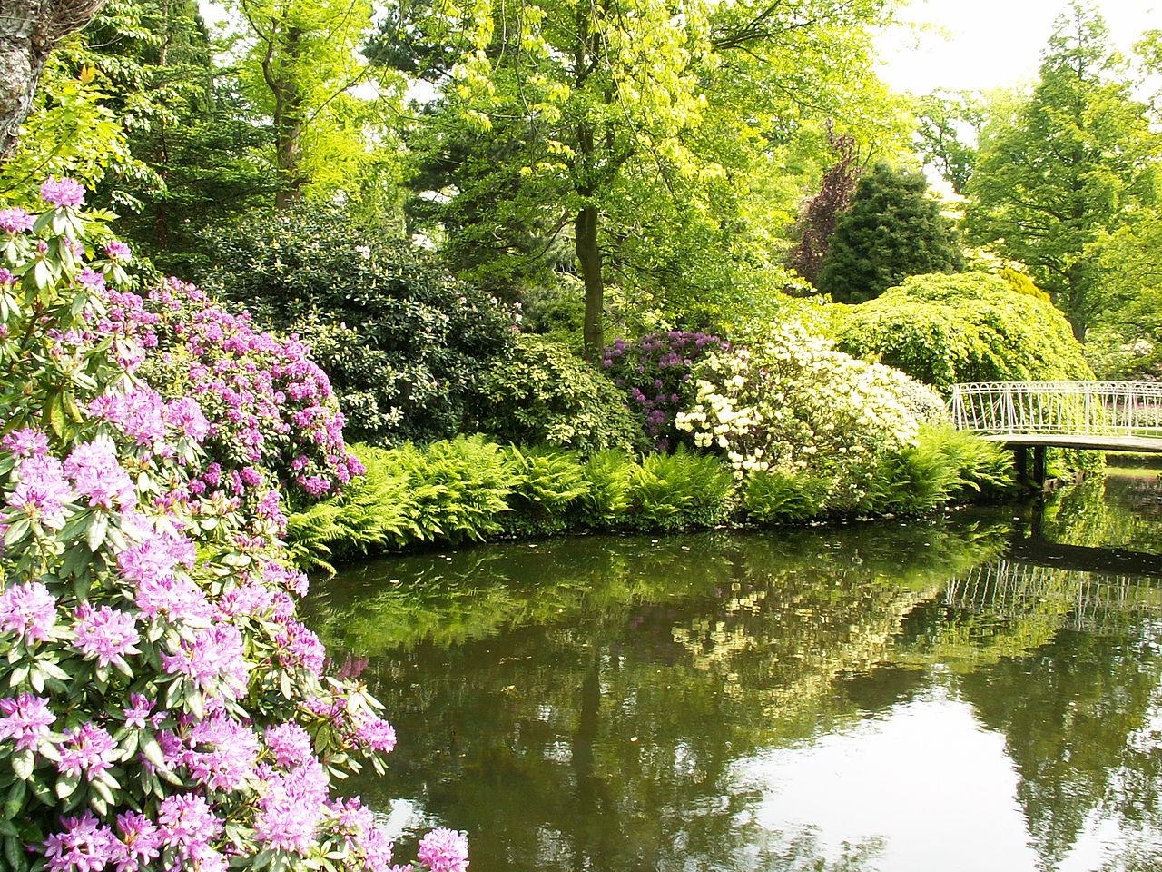 Foto Trompenburg Tuinen & Arboretum in Rotterdam, Zien, Bezienswaardigheden, Buurt, plein, park - #1