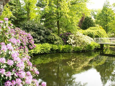 Foto Trompenburg Tuinen & Arboretum in Rotterdam, Zien, Bezienswaardigheden, Buurt, plein, park