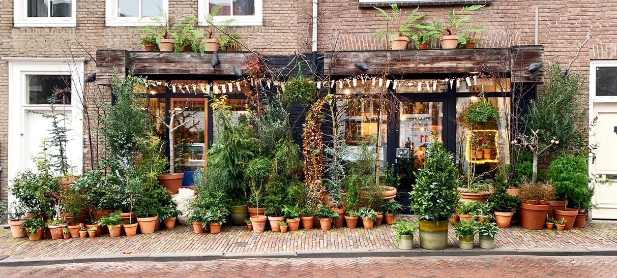 Foto PLANTaardig in Middelburg, Winkelen, Geschenken kopen, Hobbyspullen kopen - #1