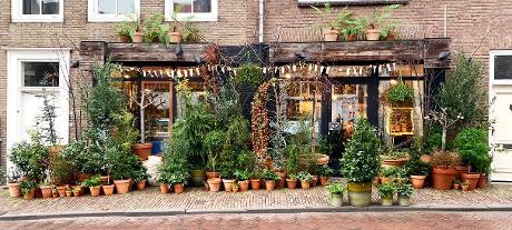 Foto PLANTaardig in Middelburg, Winkelen, Geschenken kopen, Hobbyspullen kopen